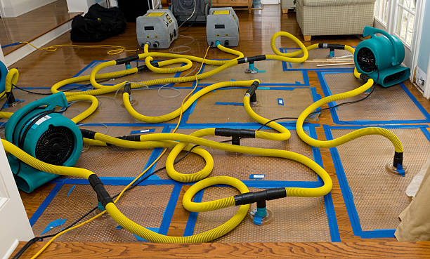 Professional Basement Flood Cleanup technician working in Crescent, IA