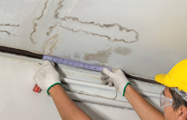 Affordable Basement Flood Cleanup solutions in Crescent, IA